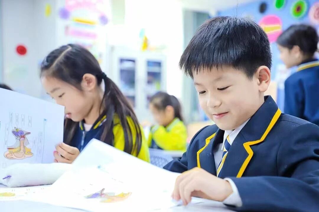 2025年6月26日《北京市中小学人工智能教育地方课程纲要》发布
