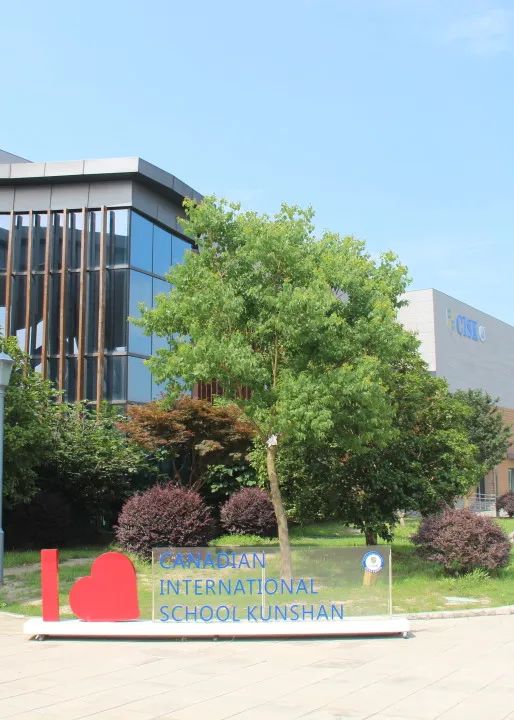 学生在CISK可以得到全面的学术提升和专业的升学指导(图 3)