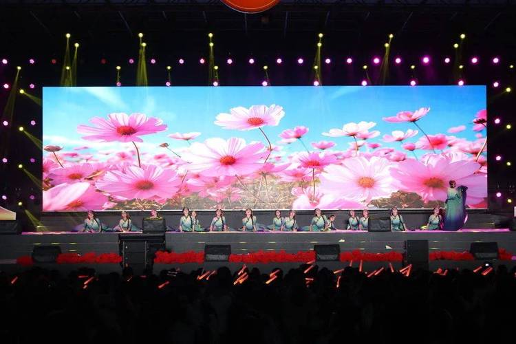 成都文理学院举行第二十一届科技文化博览节开幕式暨2024年迎新晚会 成都文理学院举行第二十一届科技文化博览节开幕式暨2024年迎新晚会