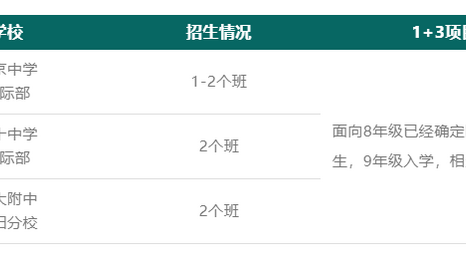 公立国际部1+3项目和0.5项目有何不同