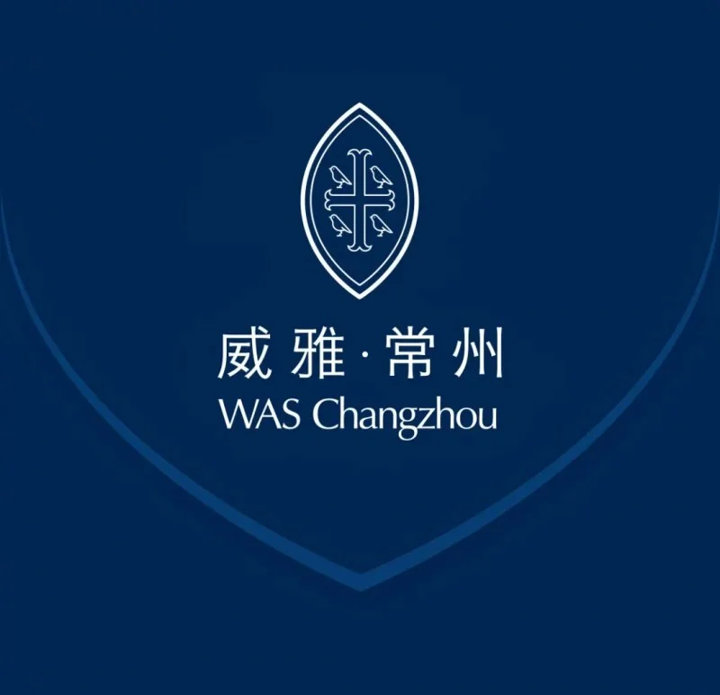 毕业生S. Ding成长故事