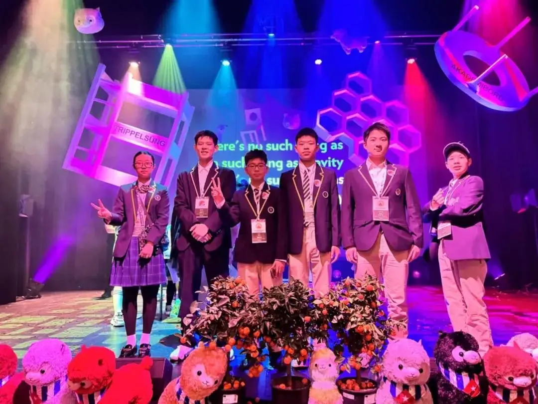 一直以来,新府学不仅在世界学者杯中取得了优异成绩(图 2)