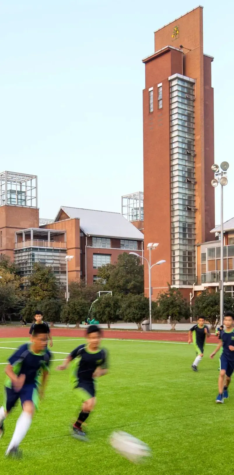 能意识到他人也可以有不同的观点或不同的处事方式。(图 3)
