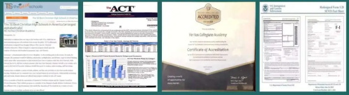 深圳德朗睿思国际学校 Veritas Collegiate Academy Shenzhen