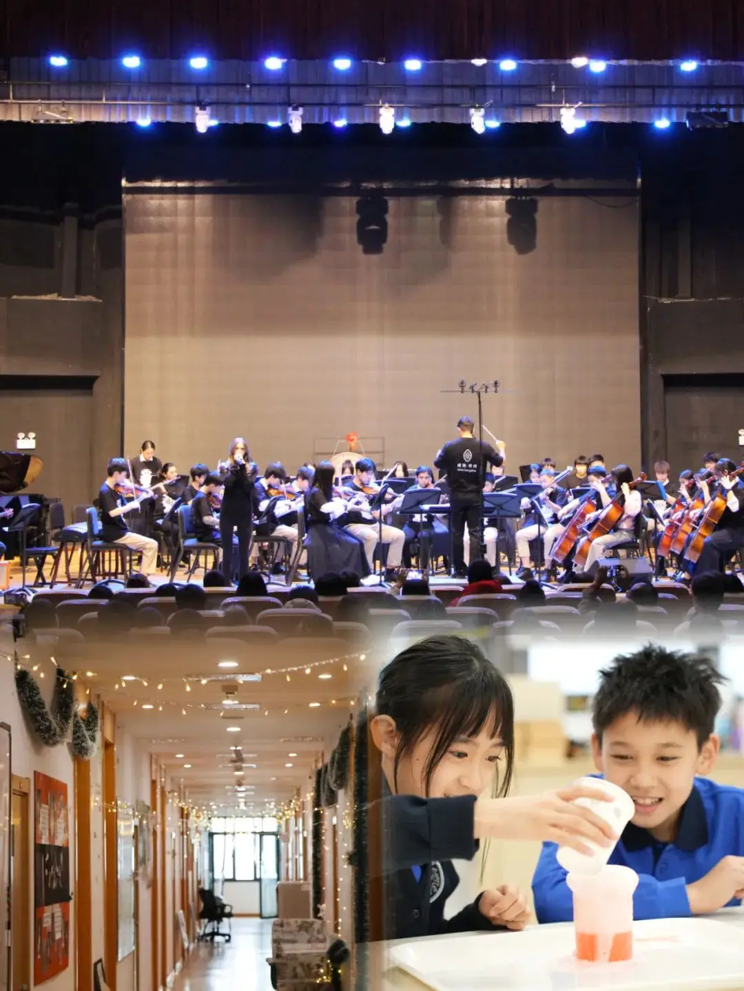 学校不仅注重学生卓越学术能力的培养