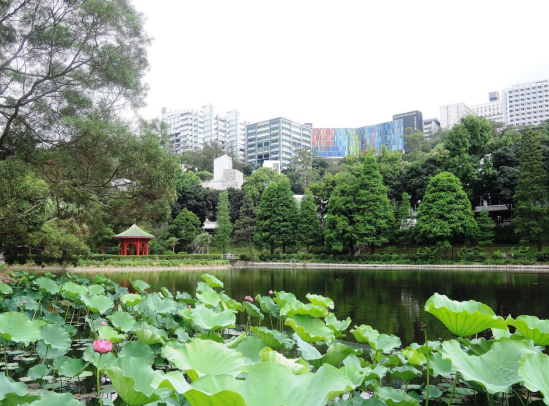 2026高招进行时丨香港中文大学参与全国统招计划招生450人 英语120分以上可通过本科提前批次直接报考 为了让内地考生可以全面考虑主修专业