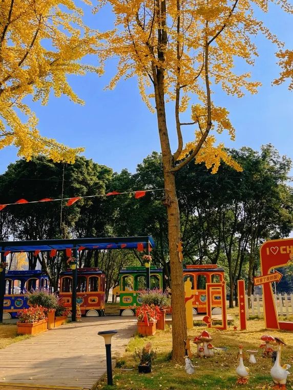 一封藤校offer是如何“炼”成的？围绕藤校录取标准，我们该提前做好哪些准备？