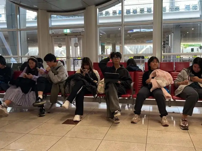 During the Christmas and New Yea(图 2)
