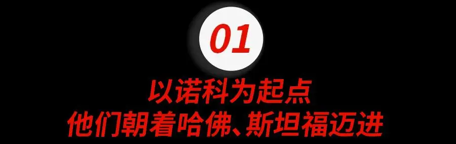上海诺科的毕业生们（图 2）