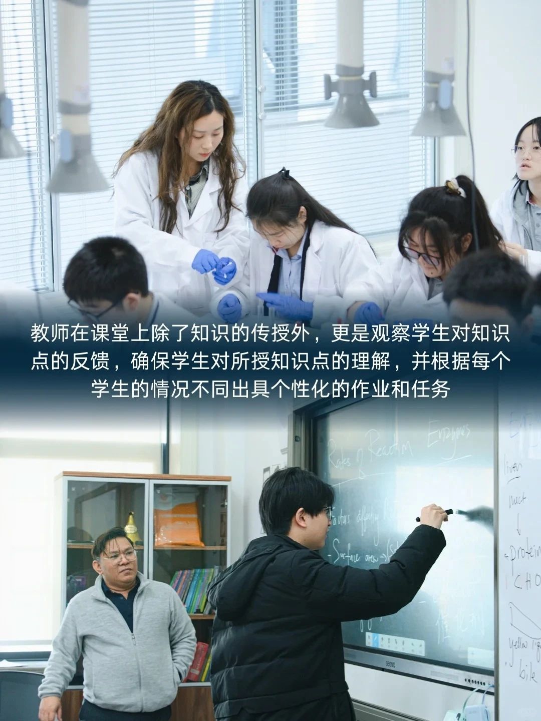 ⛵️ HKDSE课程 📖 升学方向:(图 2)