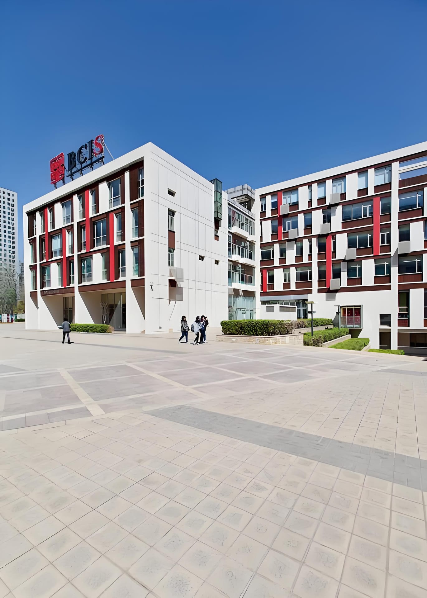 BCIS 国际学校大揭秘：不同地域的教育宝藏