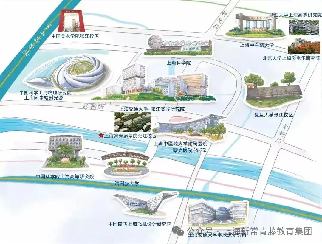 学校从创校至今共有8届毕业生,被世界各地的名校录取(图 2)