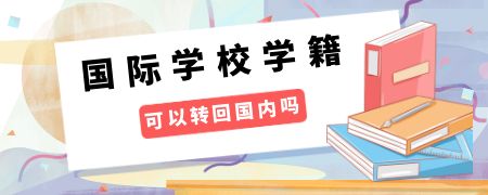读了国际化学校学籍可以转回国内吗?