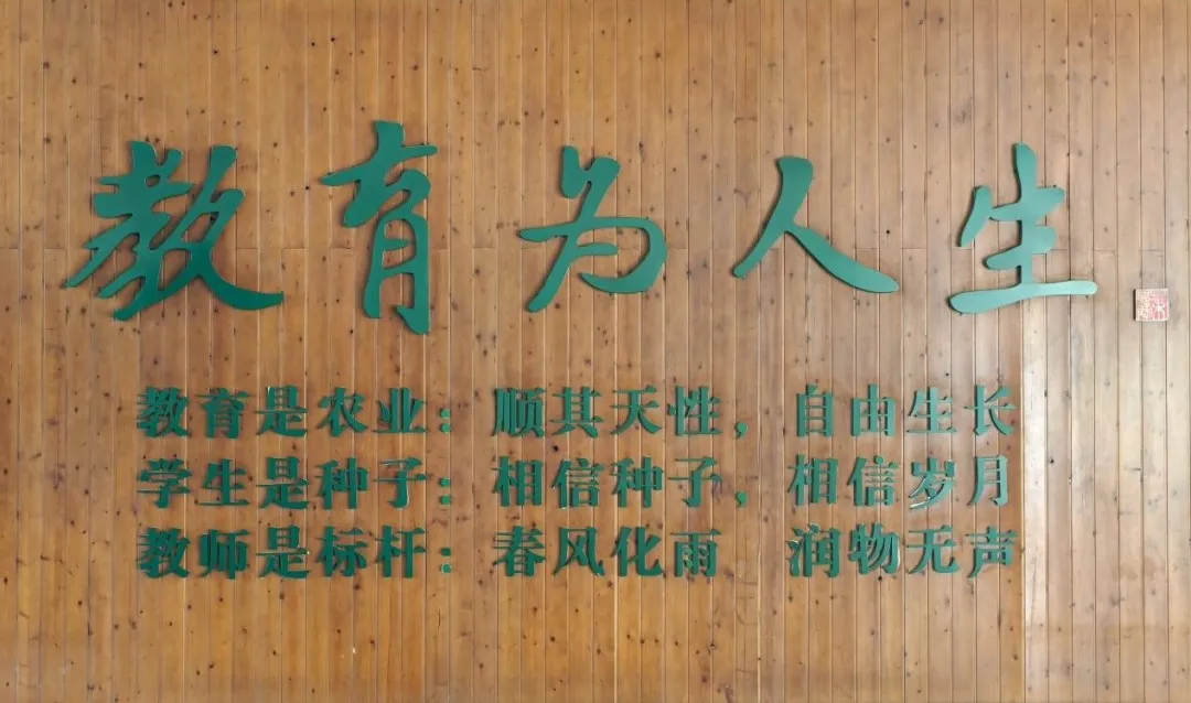 回望:深耕一载,颗粒归仓 过去一年,我们以 种 为犁(图 2)