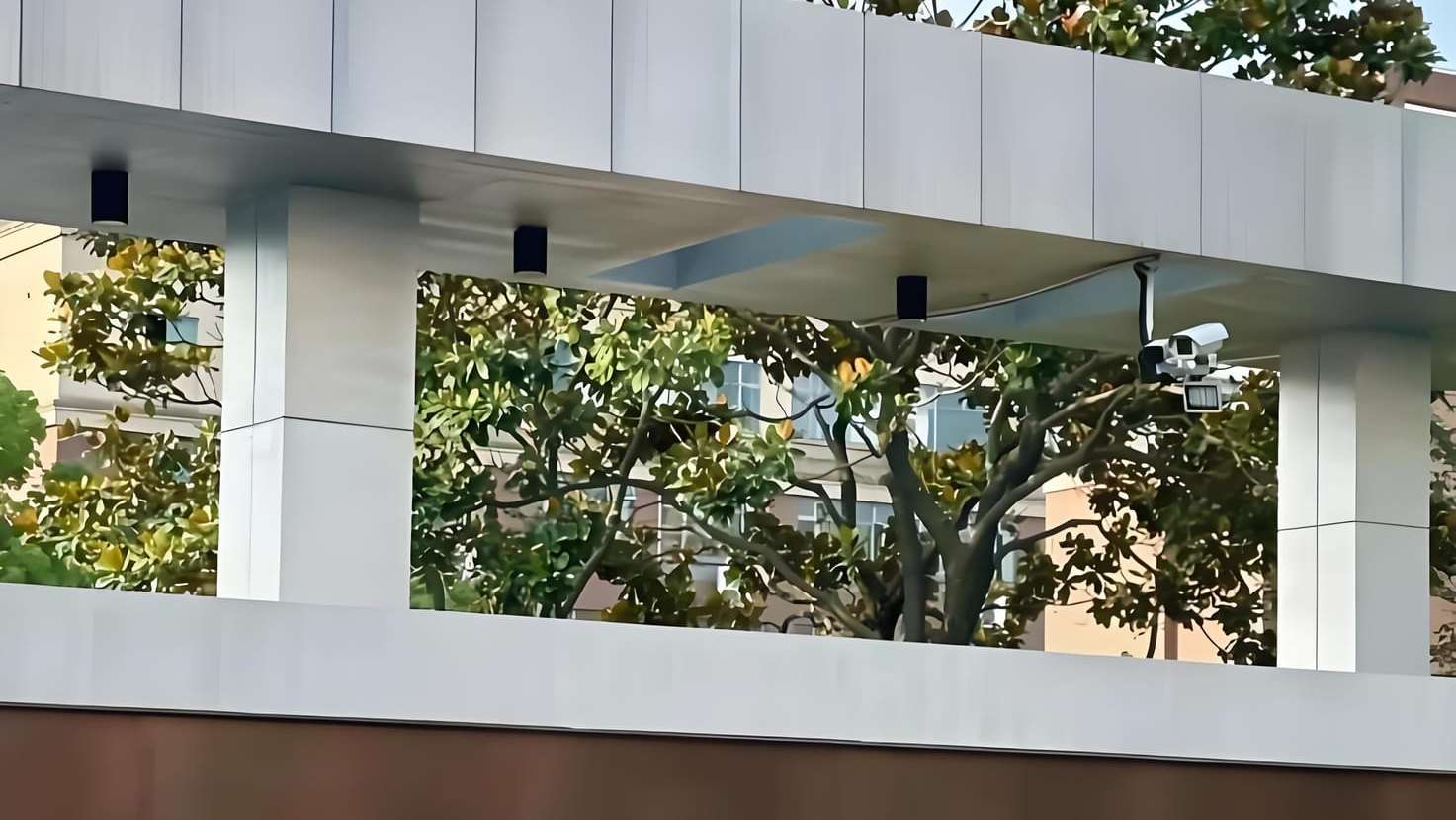 哇塞！宜昌剑桥国际交流学校大探秘