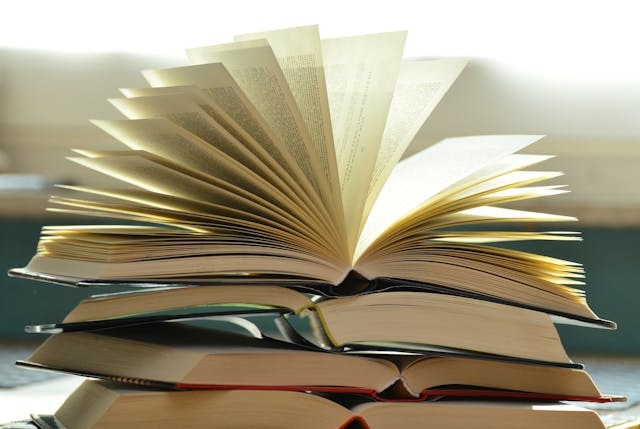 深圳国际学校以多元课程体系为基础,旨在培养学生的学术能力
