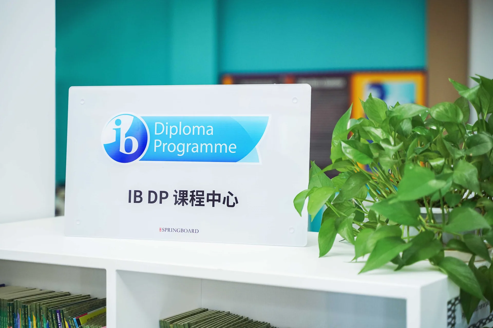 君诚学校 环境照片 5