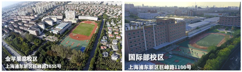 上海金苹果双语学校 环境照片 7
