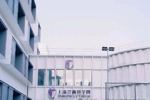 上海常青藤学校 环境照片 1