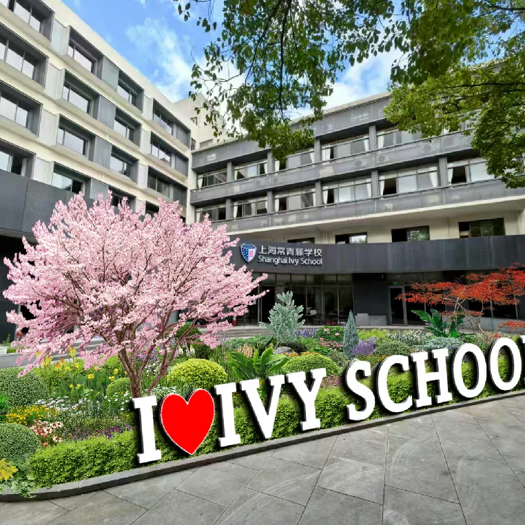 上海常青藤学校 环境照片 7