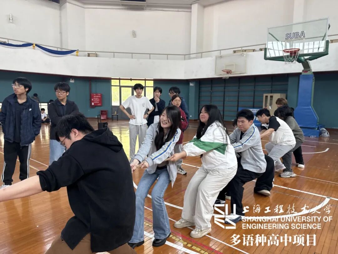 活动