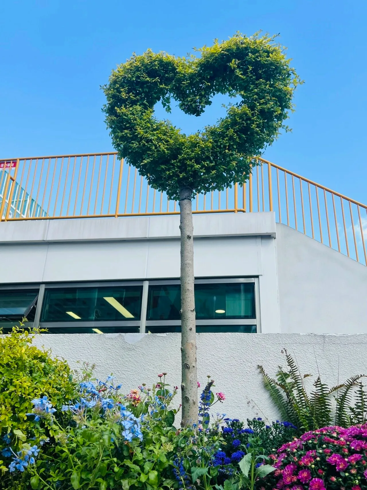 上海闵行区万科双语学校 环境照片 10
