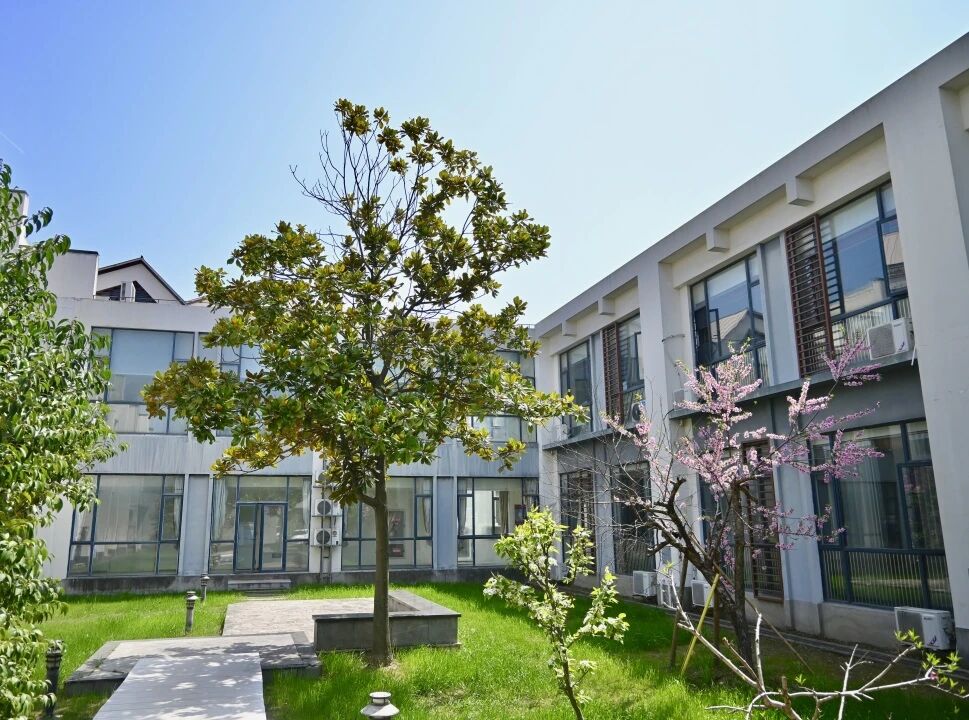 天立上海美达菲双语高级中学 环境照片 11